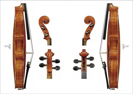 Violin 06
